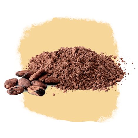 Cacau alcalino em pó 100% — Cacau em Pó & Nibs Selecto Cacau