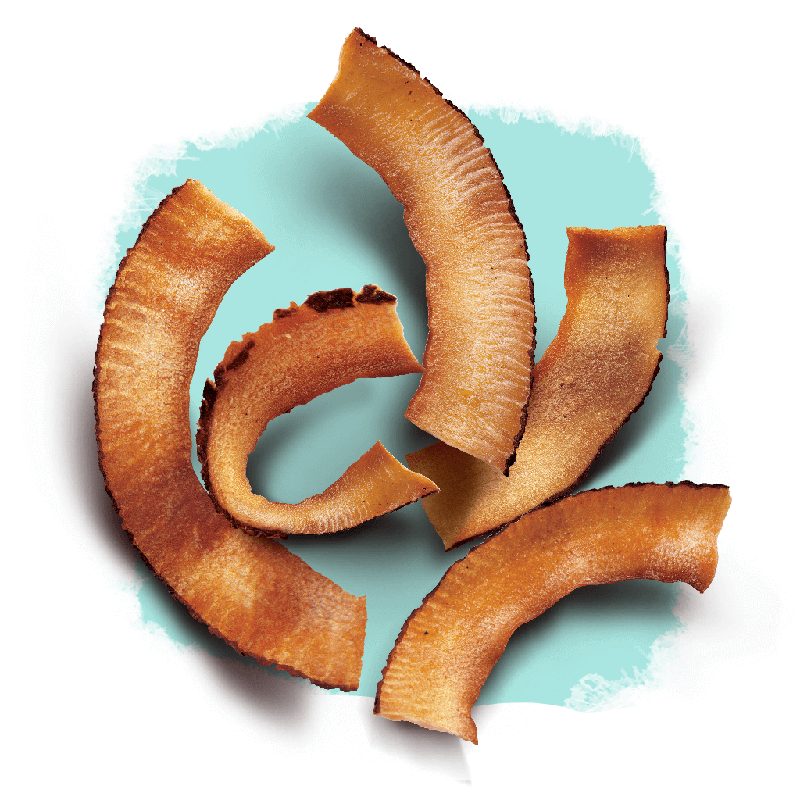 Chips de coco doce e integral — Naturais Selecto Cacau